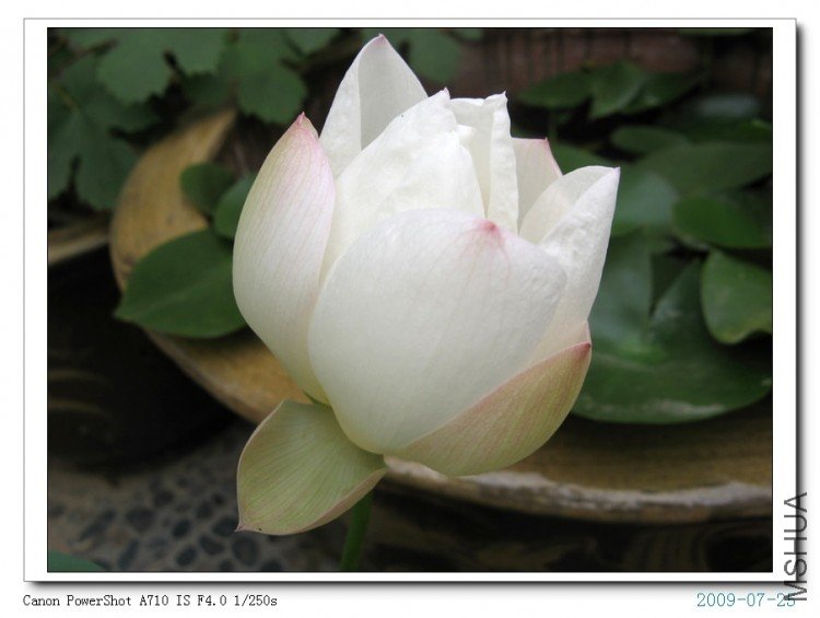 ���� 043.jpg