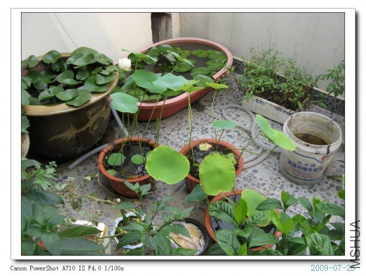 ���� 045.jpg