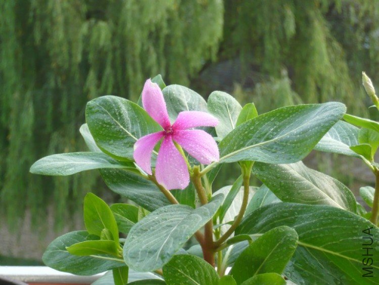 ����ͨ�����մ�