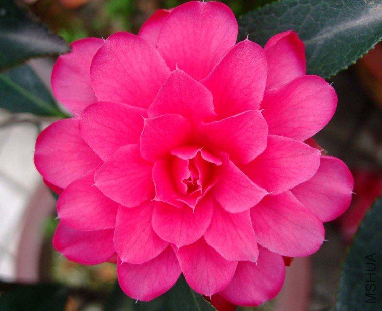 �۴��� 09-4-7 (2).jpg