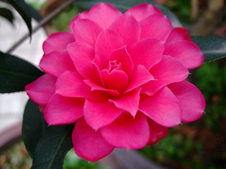 �۴��� 09-4-7(1).jpg