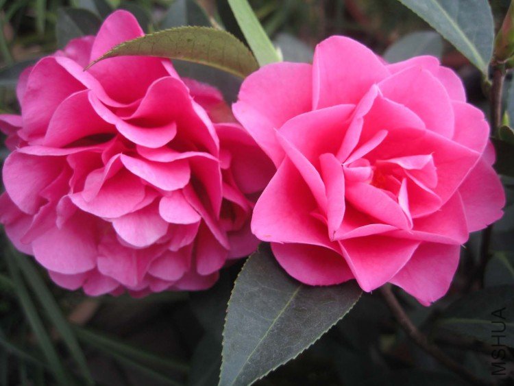 �������� 09-4-1 (1).jpg