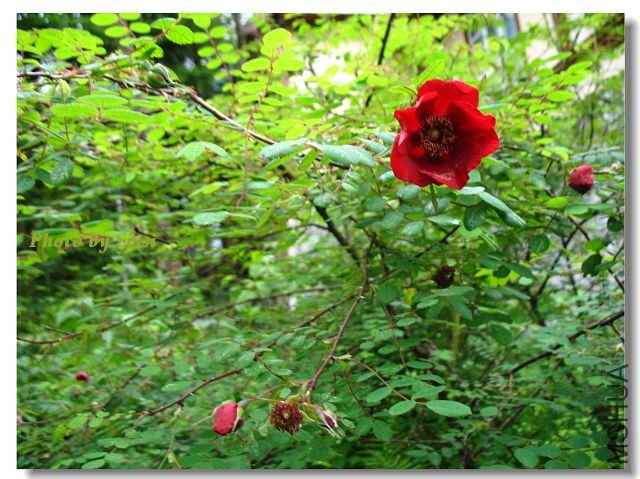 �������˲�����ȥ~