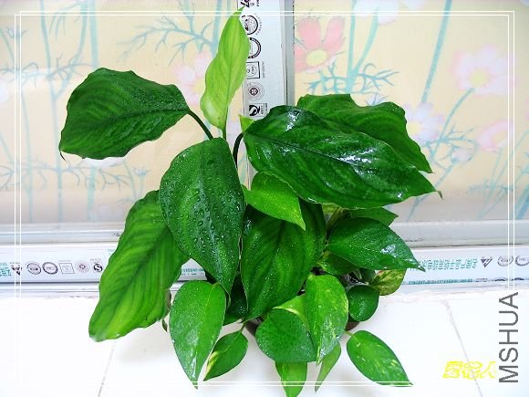 �����Լ�DIY�����ˮ�࣬����2����~