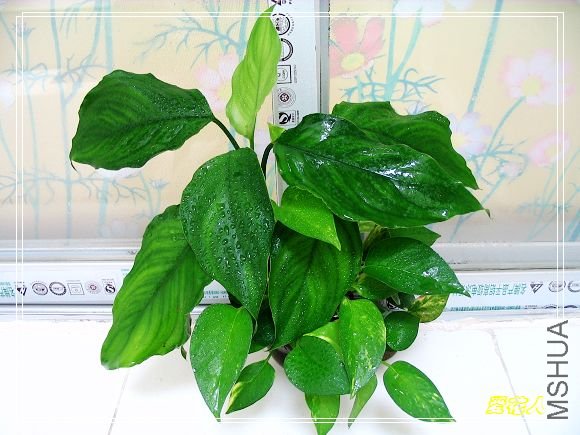 �����Լ�DIY�����ˮ�࣬����2����~