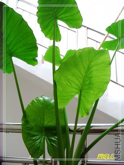 ��������ѽ��Ҫ�ǽ����̫���������յ����Ļ�����������������������ɫ