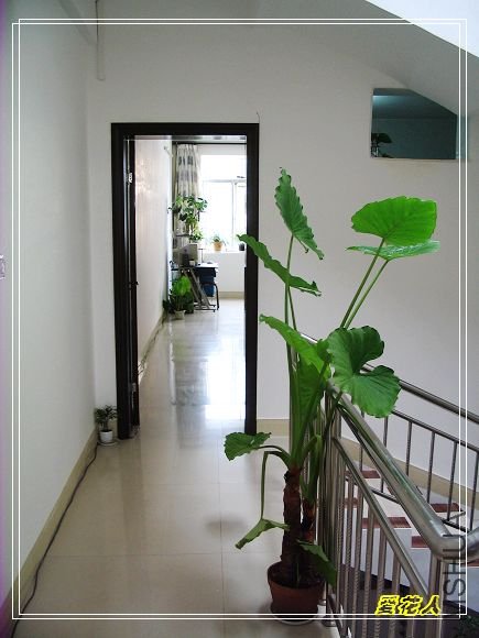 �ҵ�ª�����ڻ�԰20090725 016.jpg