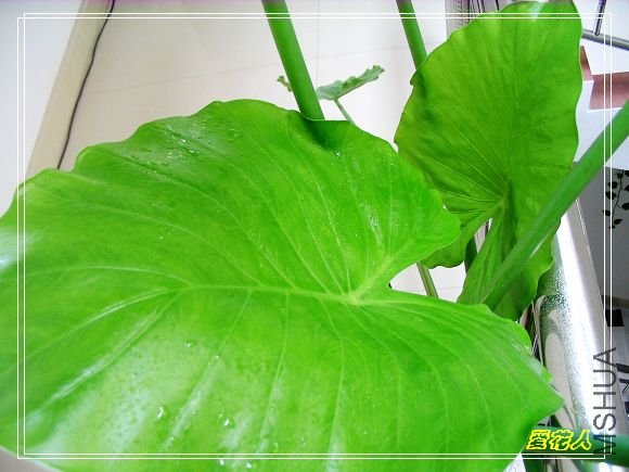 ���Ǵ����濴��~