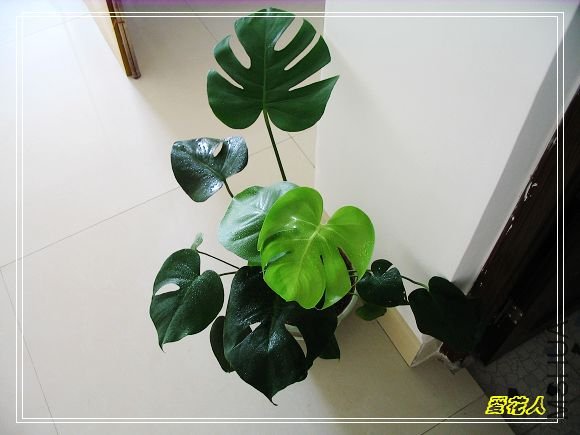 �������ſڵĹ걳��~