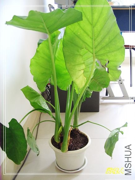 ��������˵�ˮ����~