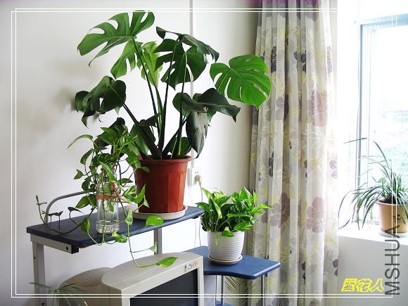 ������������ֲ����Է������Ŷ~