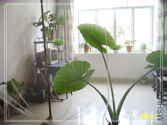 �������ڴ���͸�����ʿ����ģ�������ǿõ�ˮ�����������صذ����ǵģ�����������~