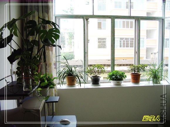 �ҵ�ª�����ڻ�԰20090725 026.jpg