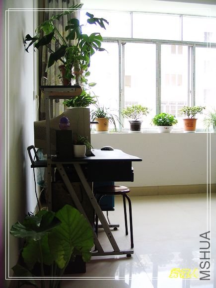 ���ε�����~