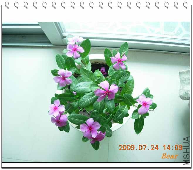 ���մ����ո�һ�գ���֪ƣ��Ŀ�