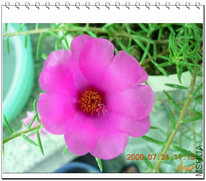 ����һ��̫���ˣ�ֱ��5CM