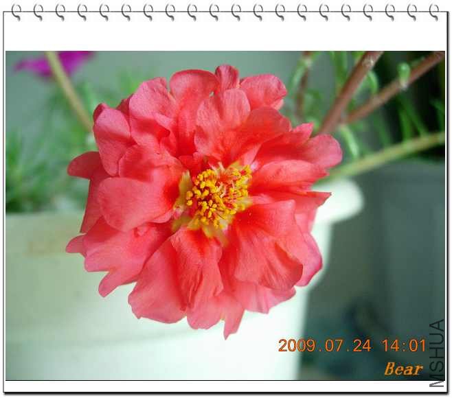 ����һ��