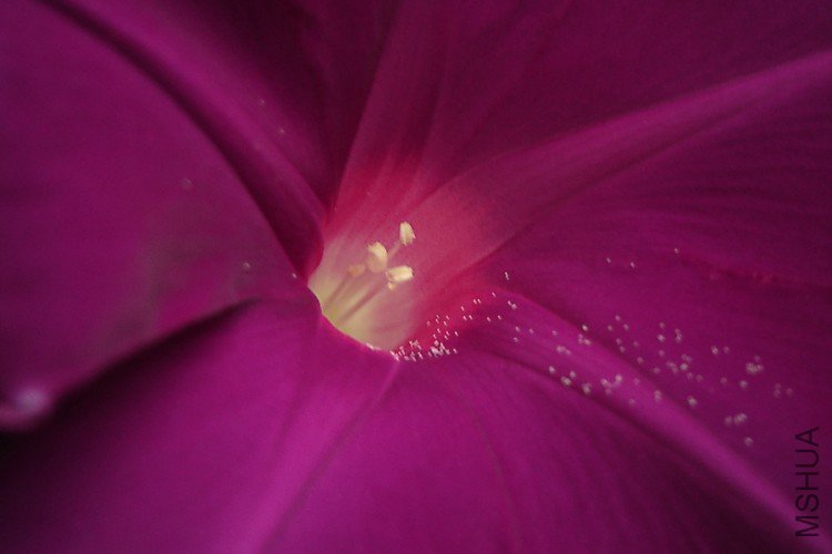 DSC08741-.jpg