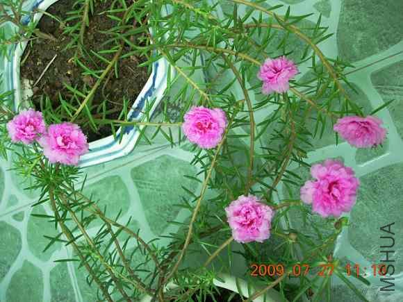 ���쿪�ĸ����ˣ��߶䣨�����ĵ����ҵ�û����֮���ˣ��Ǻǣ�