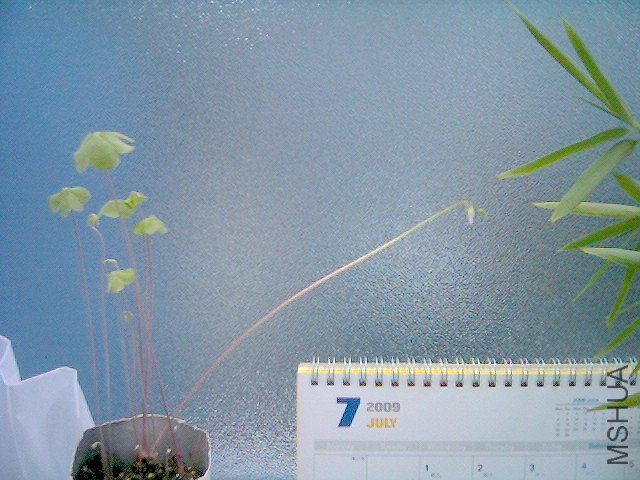 ������컨��ͽ����������~~~:-(