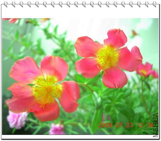 ���մ���̨�ý���ʱ�������ˣ����õģ��Ǻ�