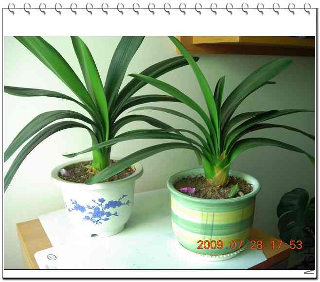 ������ó��أ����������İ����ϸպ÷����������