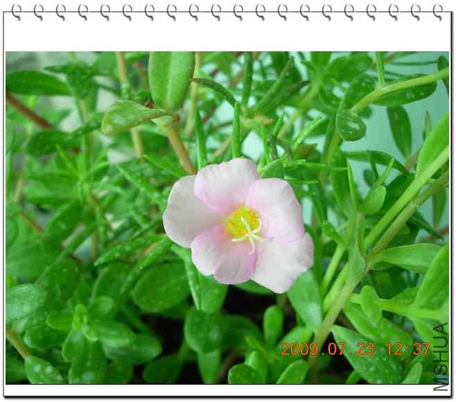 ���ۣ�����Ӫ�����������ӣ�ͬ����������˶�������