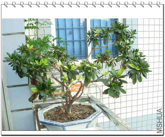 һ������3���Ķž飬�л����ˣ����Ͳ�զ��