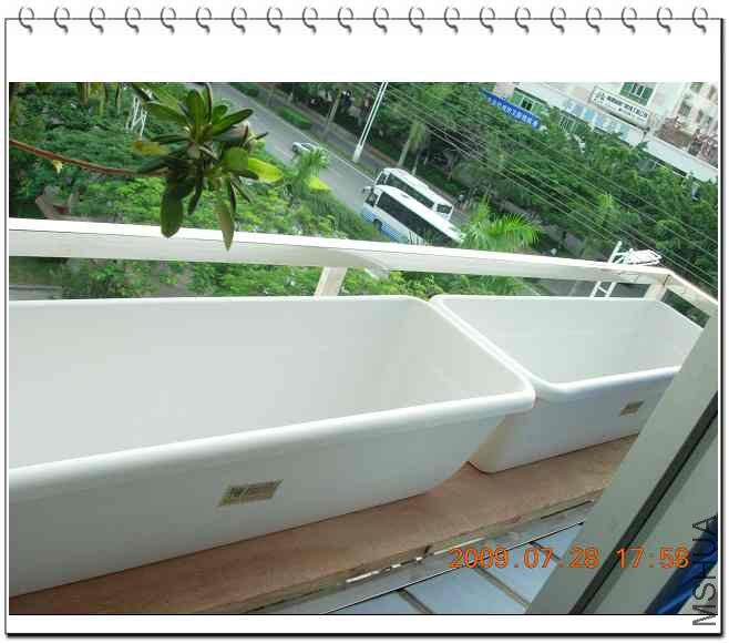 ��һ�����⻨�ܣ��Ѿ��°���������Ŵ��޳�����