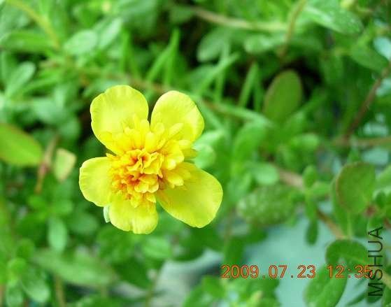 ��һ�μ������֣����꣬����ȴ�����ص�