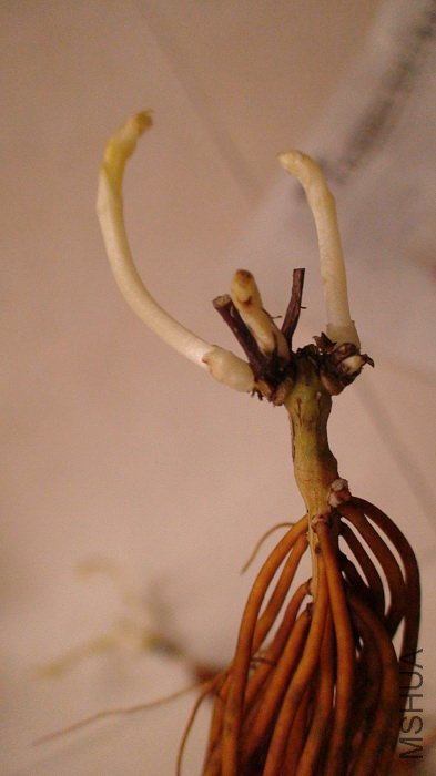 ����ѿͷ��д��������ѿ��ȫ�������������һڰ���