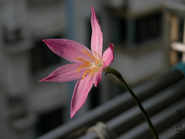DSCN1203.jpg