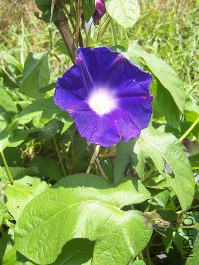 100_6460.JPG