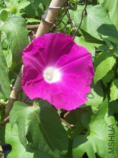 100_6456.JPG