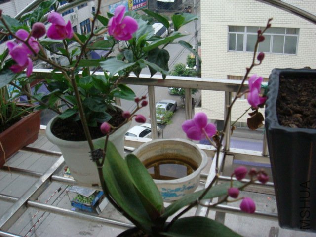 DSC00651.JPG