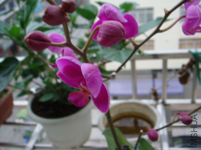 DSC00653.JPG