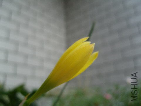 �о����ɫ�����������е������ţ����ǻ��ı��治ͬ��