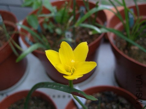 ��������һ��Ʒ��Ŷ�������С�㣡