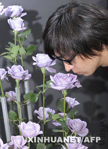 8930155.jpg