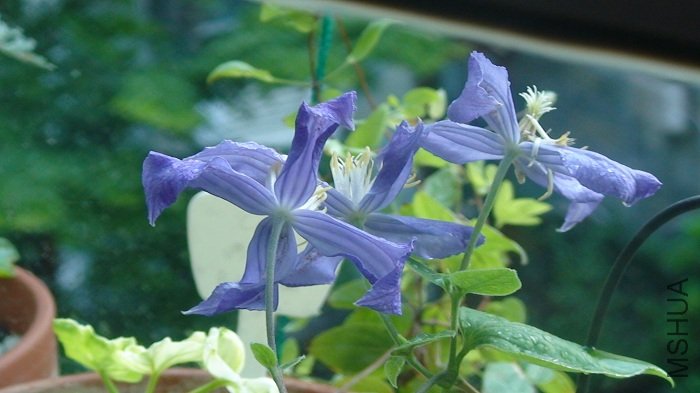 7-30��, �Ѿ���л��!