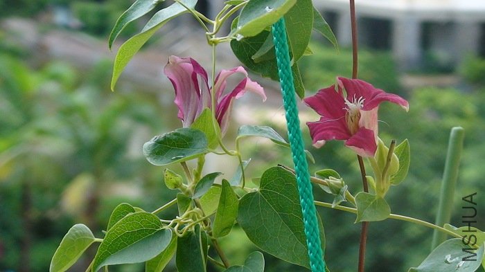 7-30��, ����л��һ��!  ϸ��һ��, ��ʣ�µ�����ȫ������, �����? ��ǰ��ȫ���İ�İ�!