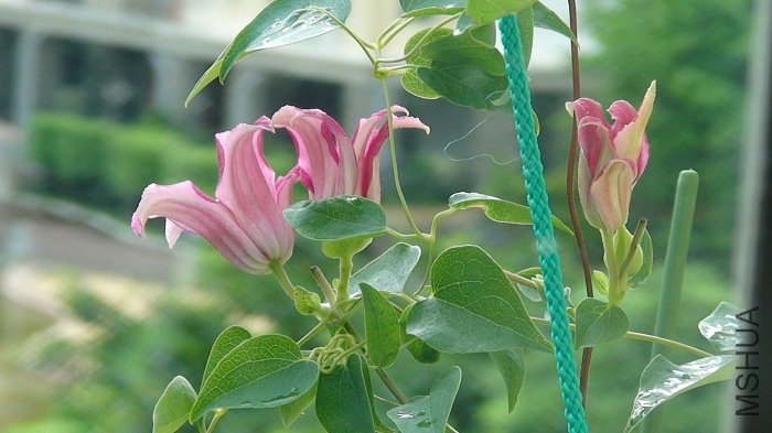 7-27��, �����ȵڶ����Ļ�ͬʱ������������!