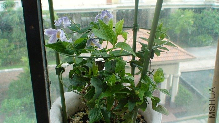 ���һ��, ���������۵���! ��֪���ҵ�ʱ��ǿ���Ƕ�ô����ȷ��!