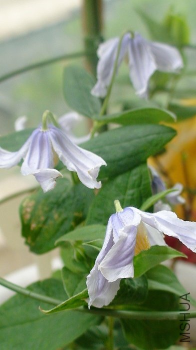 �������Ƕȿ�����!