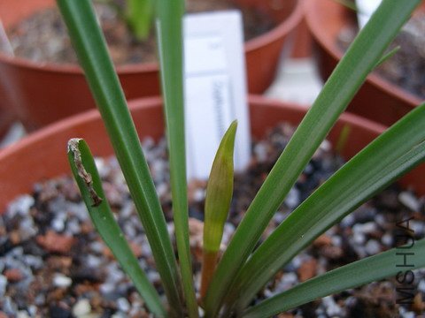 ��һ���������Ҳ�Ὺ!