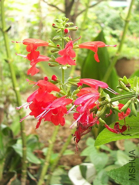 101_6454.jpg