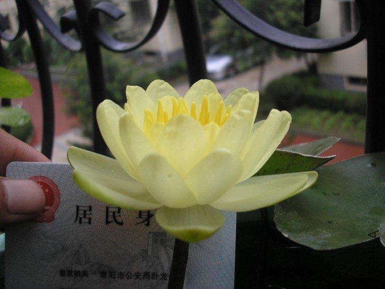 P7310167.jpg