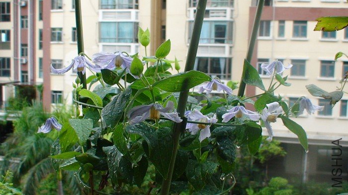 7-30��, һҹ���꣬����ȫ������