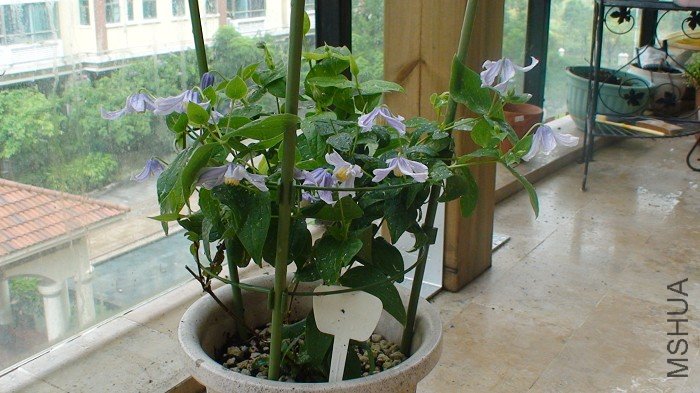 ���һ����ȫ�������! ���Կ���, ʵ�ʵ�ֲ�����岢����! ��ʵ��ʵ���Ǳ���Ƭ���ÿ���!