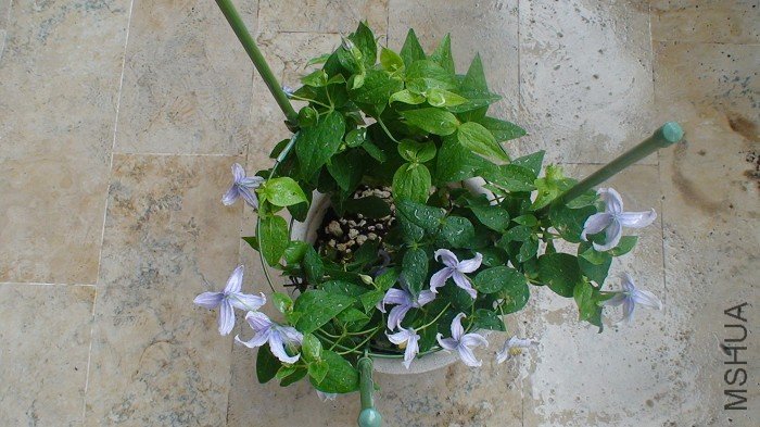 ���Ǹ��ӵ�����, ���Կ���, ���кö�Ļ��ٰ�!